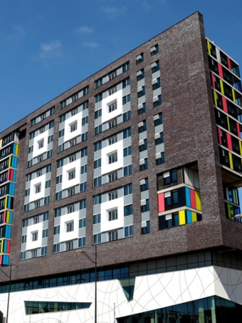 01-doornroosje-nijmegen-c-ronald-puma2